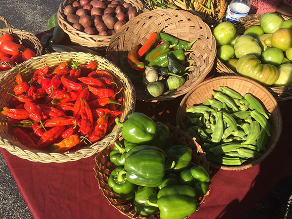 Farmer's market veggies